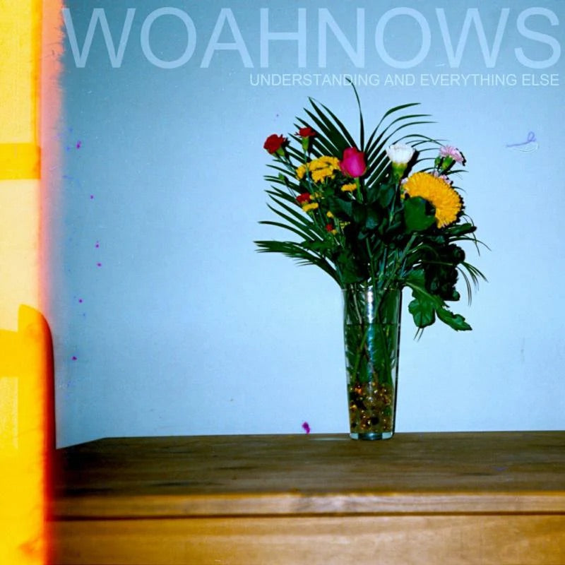 Woahnows - Understanding and Everything Else CD