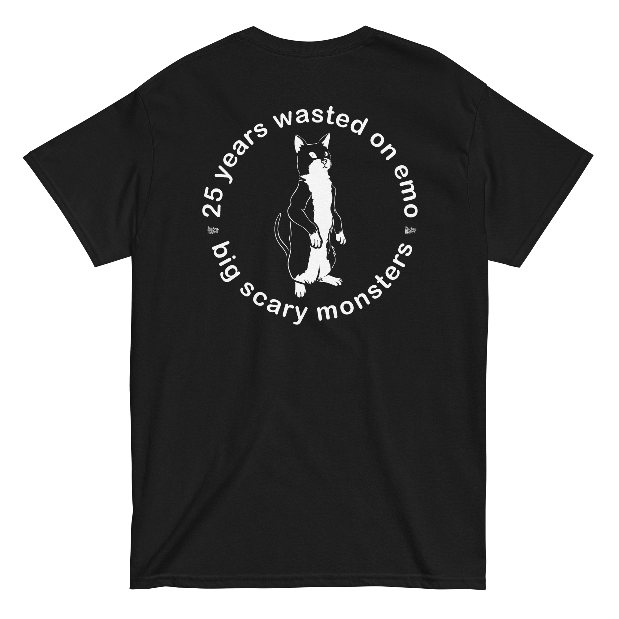 25 Years Wasted On Emo Cat T-shirt