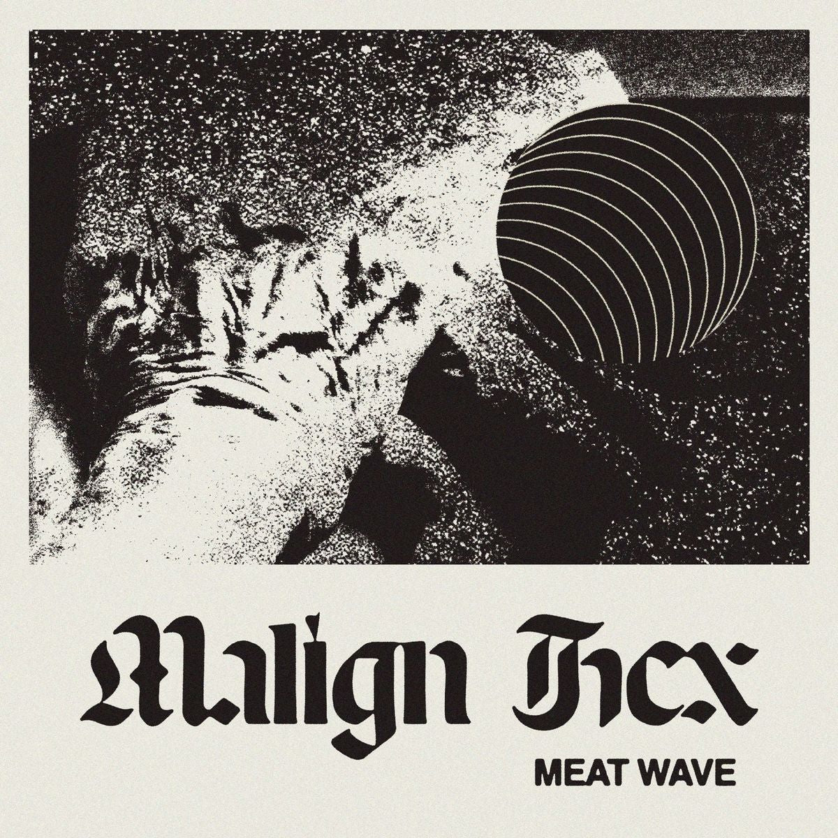 Meat Wave - Malign Hex - Download