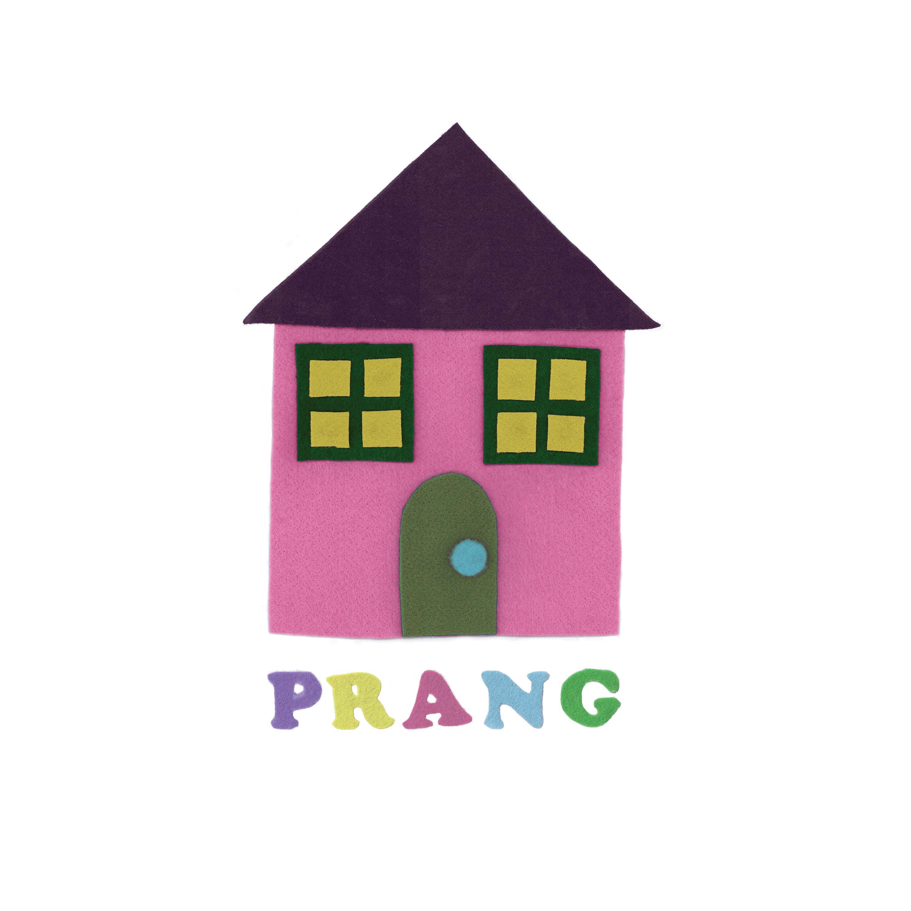 Gender Roles - PRANG