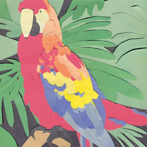 Algernon Cadwallader - Parrot Flies - CD