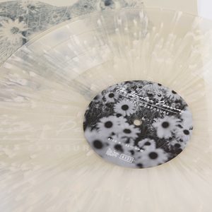 The Winter Passing - Double Exposure 12" EP