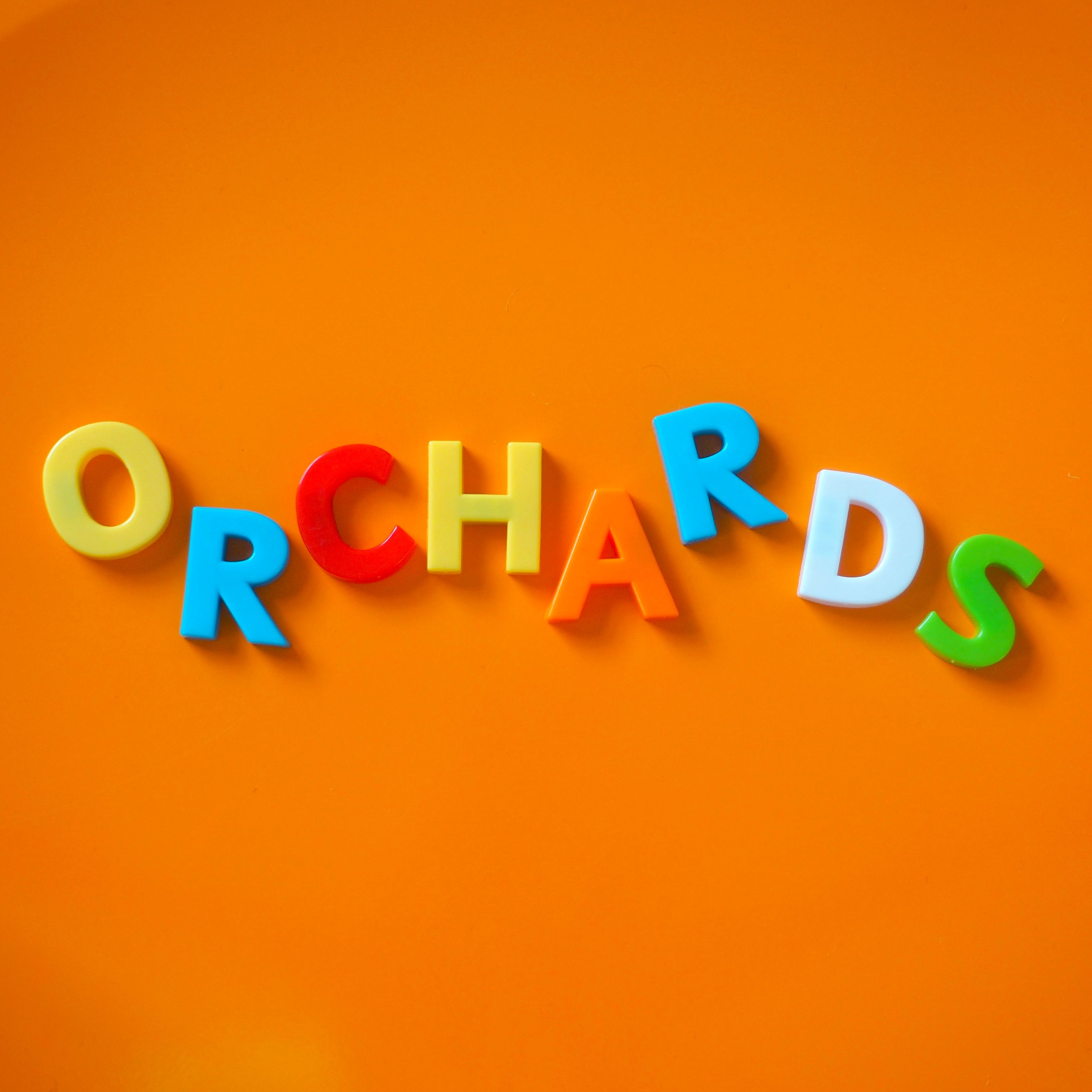 Orchards – Young/Mature Me 7”
